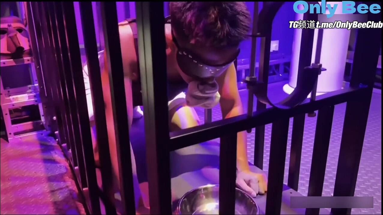 【Tearing_S】Immersive Dark Cage Chapter